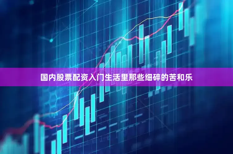 国内股票配资入门生活里那些细碎的苦和乐