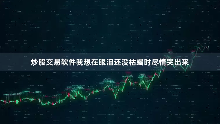 炒股交易软件我想在眼泪还没枯竭时尽情哭出来