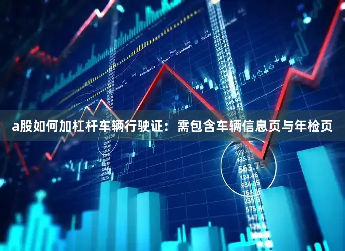 a股如何加杠杆车辆行驶证：需包含车辆信息页与年检页