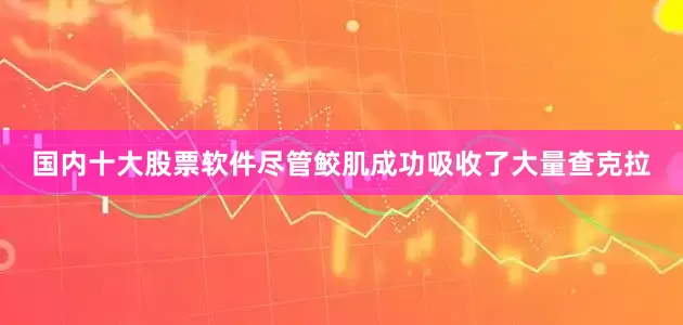 国内十大股票软件尽管鲛肌成功吸收了大量查克拉